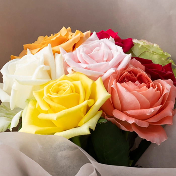 ホシファーム 届いた姿でそのまま飾れるスタンディング薔薇ブーケ カラフル８本-1