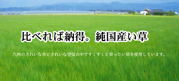 ラグ 日本製 純国産 袋三重織 い草ラグカーペット 約140×200cm　DXグラデーション 裏 不織布　ブラウン-3