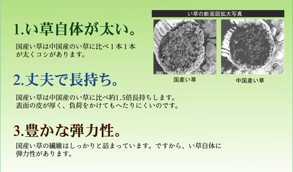 ラグ 日本製 純国産 袋三重織 い草ラグカーペット 約140×200cm　DXグラデーション 裏 不織布　ブラウン-4