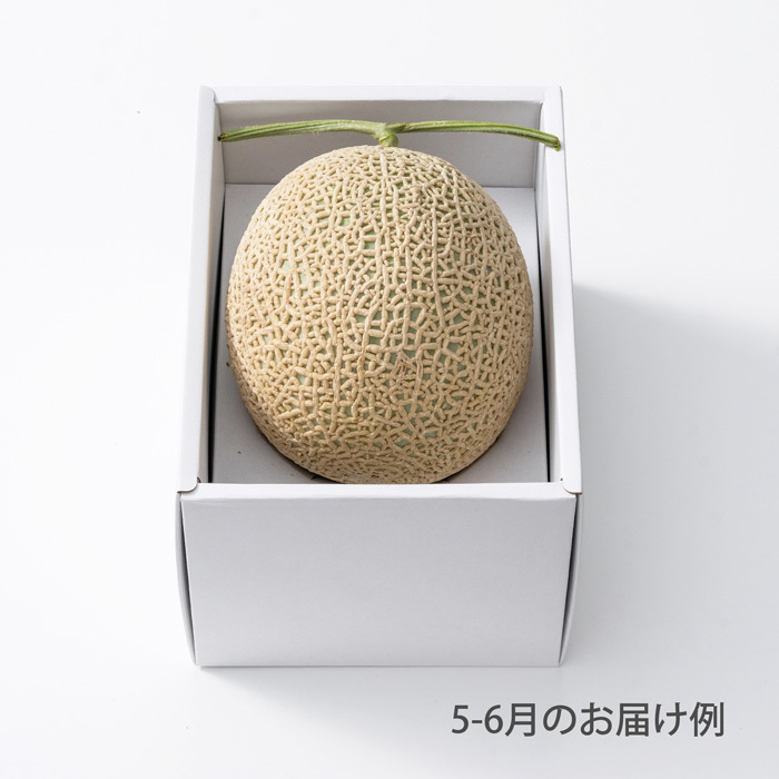 ホシフルーツ おまかせ旬のフルーツＢＯＸ Ａ のし対応可-0