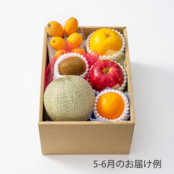 ホシフルーツ おまかせ旬のフルーツＢＯＸ Ｃ のし対応可-0