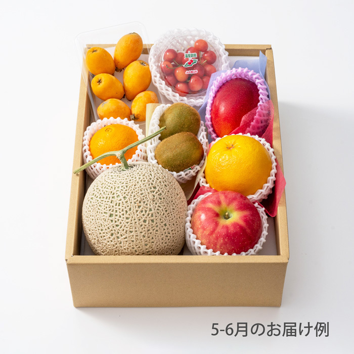 ホシフルーツ おまかせ旬のフルーツＢＯＸ Ｅ のし対応可-0