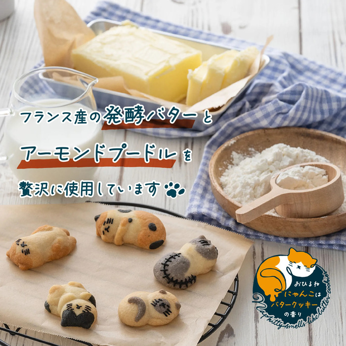 ねこクッキー おひるねにゃんこはバタークッキーの香り ミネット サバ白 20個セット-5