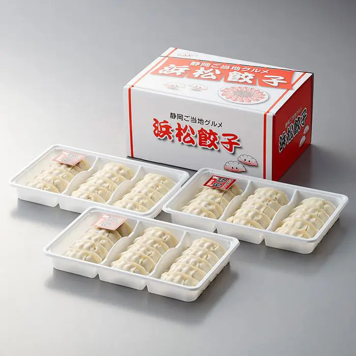 夏季限定 静岡Ｂ級グルメ浜松餃子４５粒 のし対応可-3
