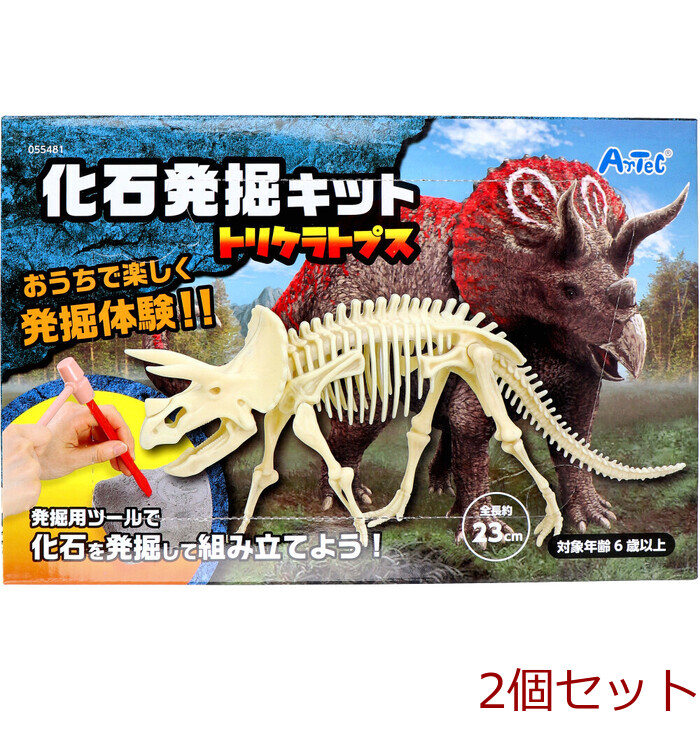 化石発掘キット トリケラトプス 2個セット : まるっとマーケット