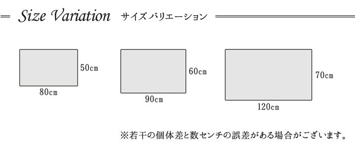 玄関マット 約60×90cm ウィルトン 抗菌防臭 消臭機能 へたりにくい パレット 玄関マット-2