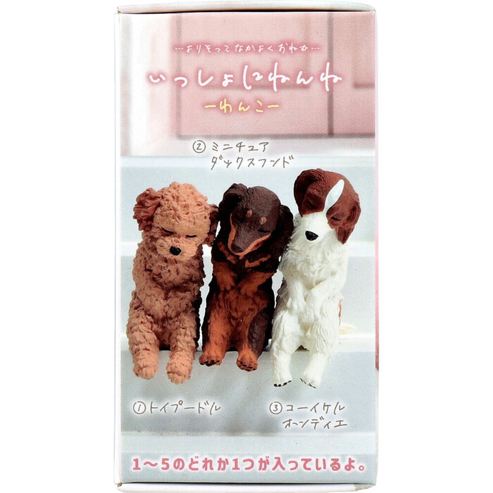 フィギュア いっしょにねんね わんこ 1個入 8セット-2