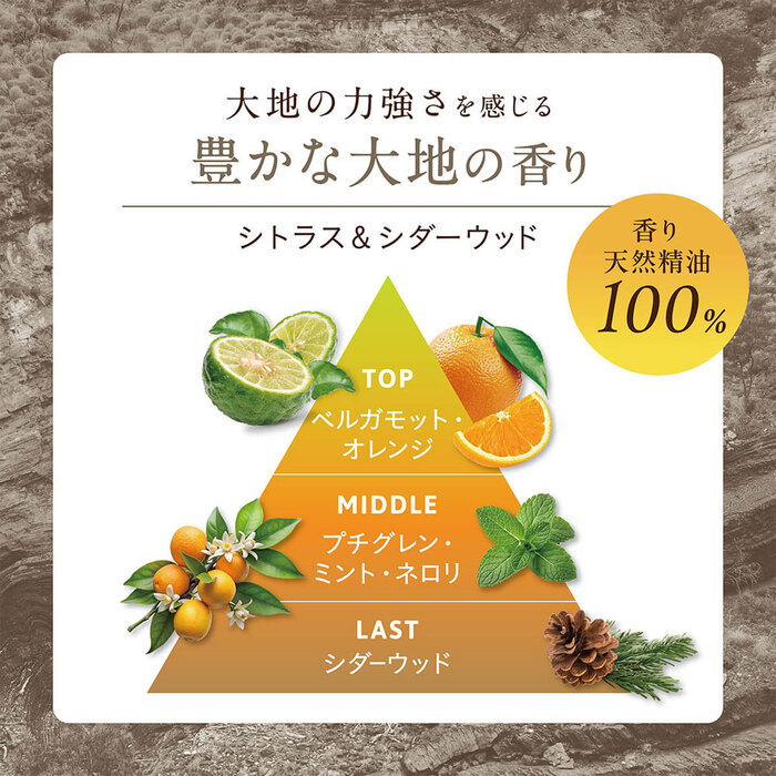 ココパーム ランドエッセンストリートメント 詰替用 380mL 2セット-2