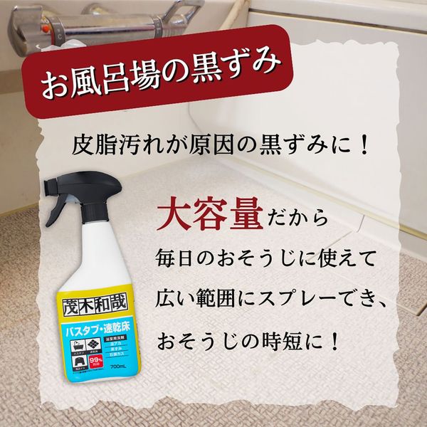茂木和哉 バスタブ凸凹床用洗剤700ml 2個セット-3