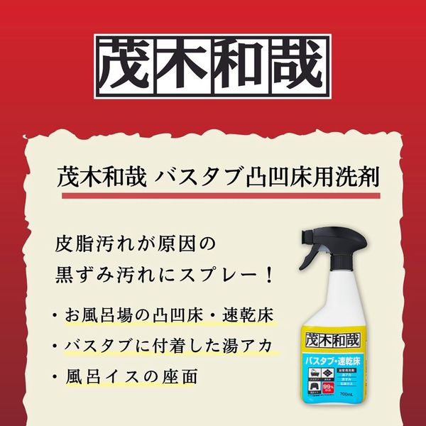 茂木和哉 バスタブ凸凹床用洗剤700ml 2個セット-5