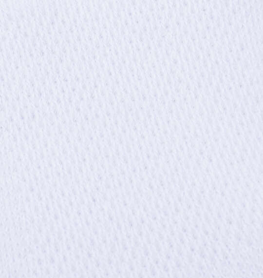 大きいサイズ Phiten 2P5本指セミロングスポーツソックス 29 ホワイト ラッピング可-1