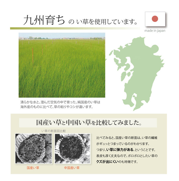 日本製 純国産 い草ごろ寝マット さわやか R縁Jrマット 約70×120cm-4