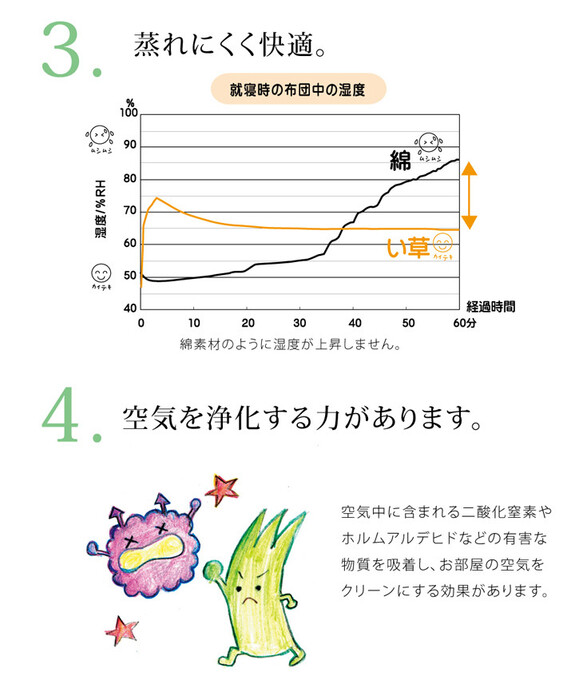 日本製 純国産 い草ごろ寝マット さわやか R縁Jrマット 約70×120cm-7