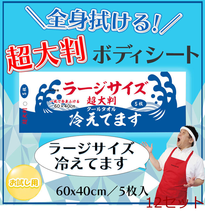 超大判 クールタオル ラージサイズ冷えてます 60×40cm 5枚入 12セット