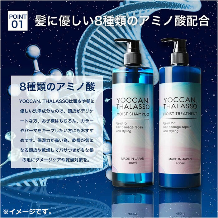 YOCCAN タラソモイストシャンプー 480mL 2個セット : まるっとくらしの