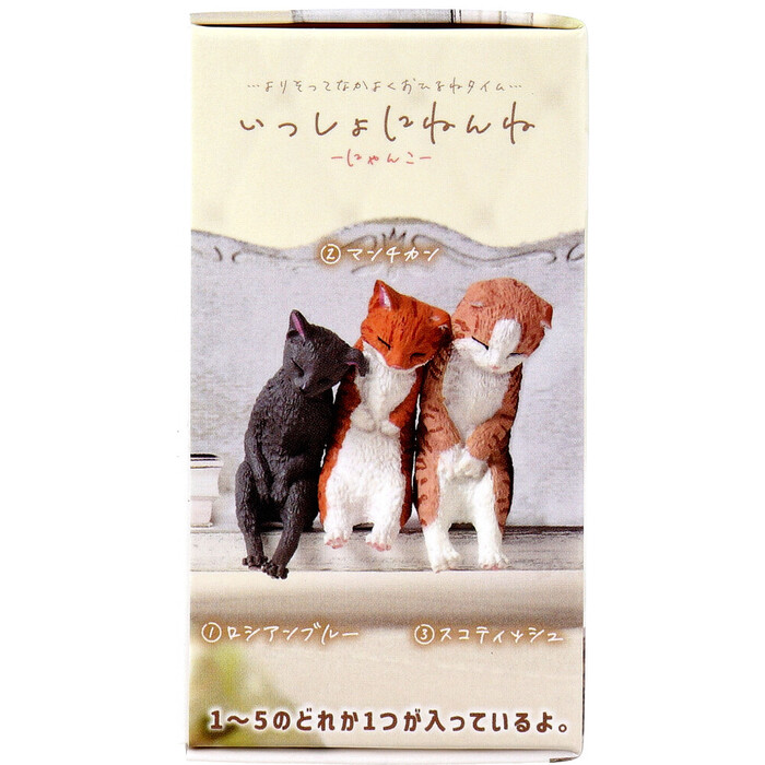 フィギュア いっしょにねんね にゃんこ 1個入 5セット-2