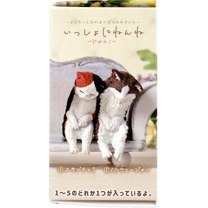 フィギュア いっしょにねんね にゃんこ 1個入 5セット-3
