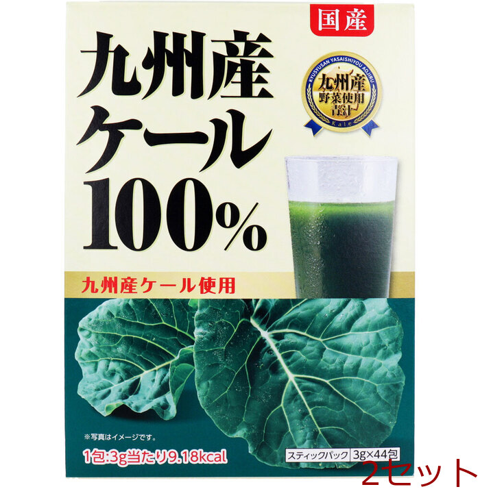 九州産ケール100％ スティックパック 3g×44包入 2セット-0