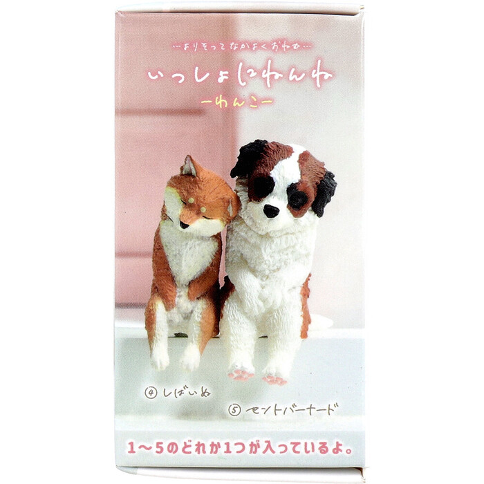 フィギュア いっしょにねんね わんこ 1個入 8セット-3