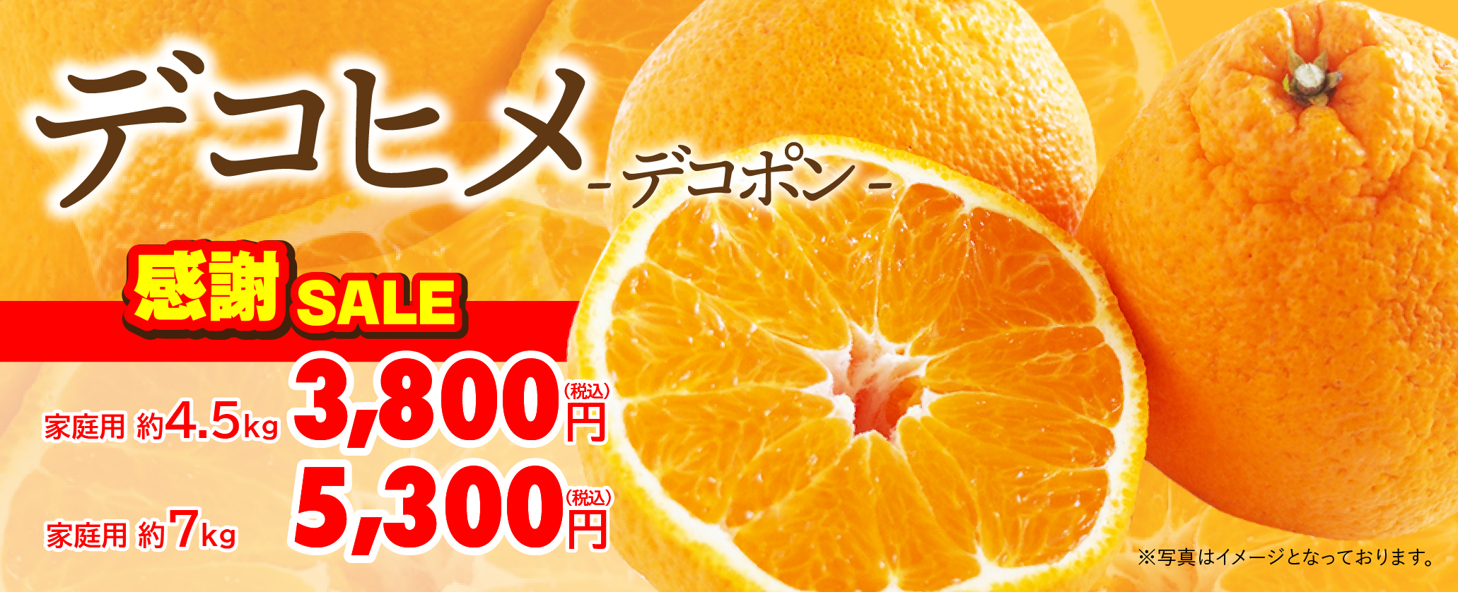 まるさん専用ページ 000000013567-02.jpg?size=l&w=