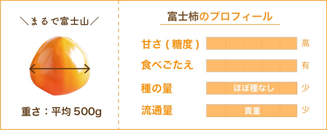 富士柿 愛媛県産 柿 かき 家庭用 大・小込み 3kg 約7~12玉 産地直送 送料無料 :152672871:マルワフルーツ園芸 - 通販 -  Yahoo!ショッピング