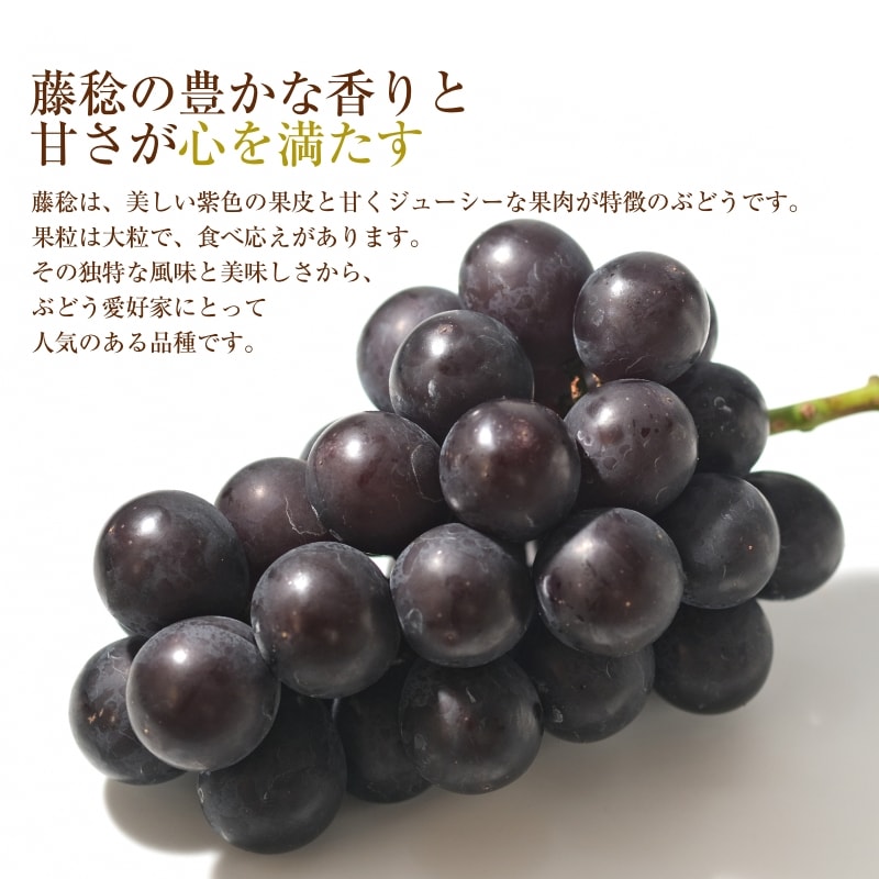 セール＆特集＞ お中元 ぶどう プレミアムニューピオーネ 誉乃ＡＫＡＳＡＫＡ 700g×１房 ほまれのあかさか ＪＡ岡山東 赤坂産 葡萄 ブドウ 