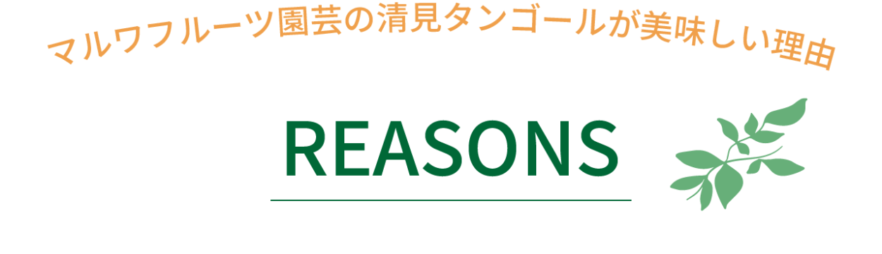 理由