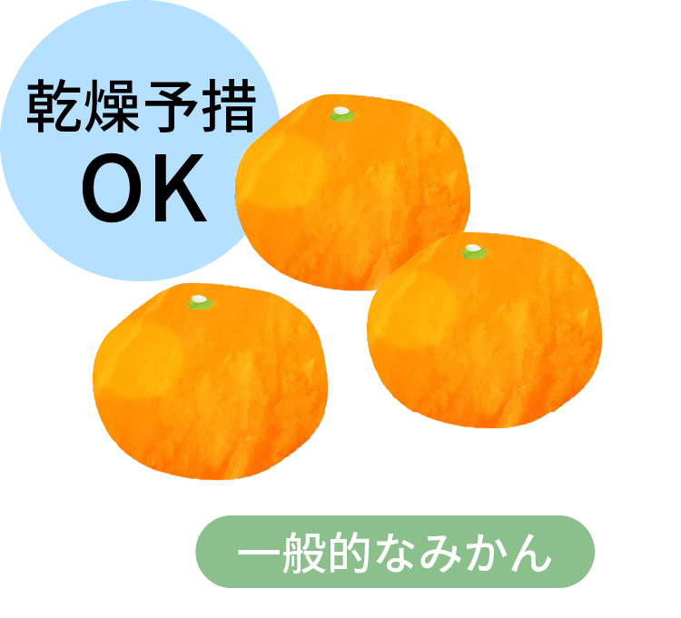     普通のみかん