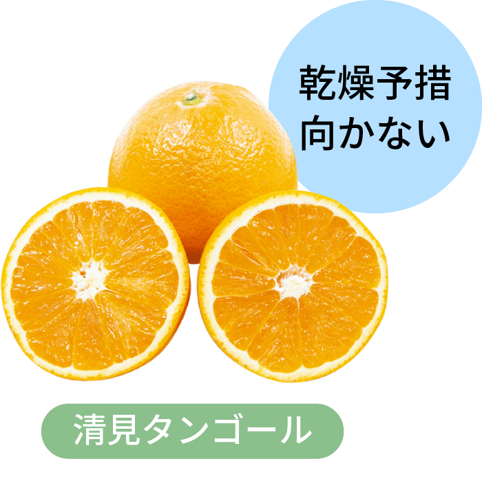 清見タンゴール