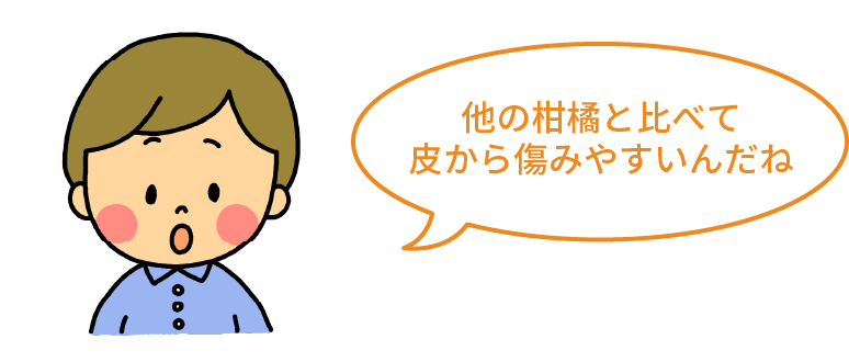 コメント