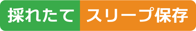 採れたてスリープ保存