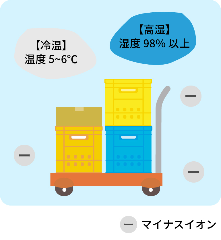 清見保管
