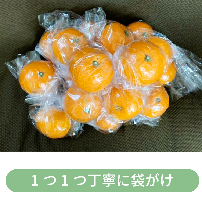 清見保管