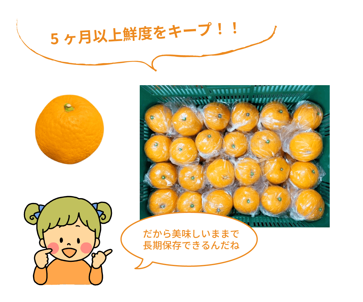 鮮度キープ
