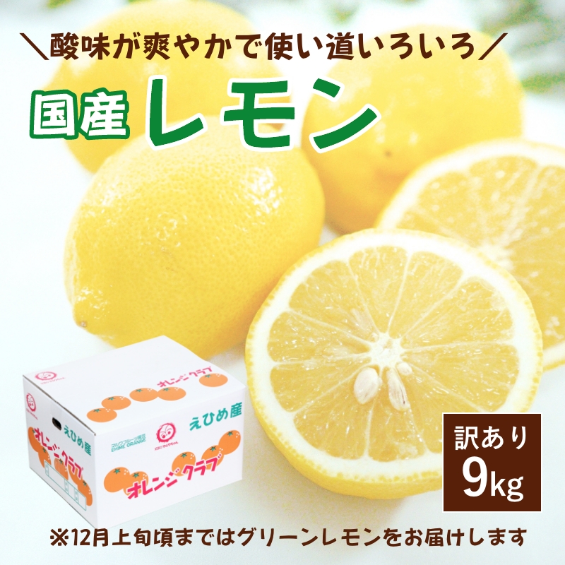 レモン 訳あり 約9kg 国産 愛媛産 送料無料 産地直送 柑橘 フルーツ