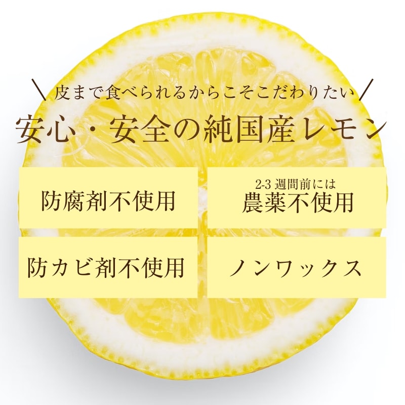 レモン 訳あり 9kg 国産 愛媛産 送料無料 産地直送 柑橘 フルーツ 果物