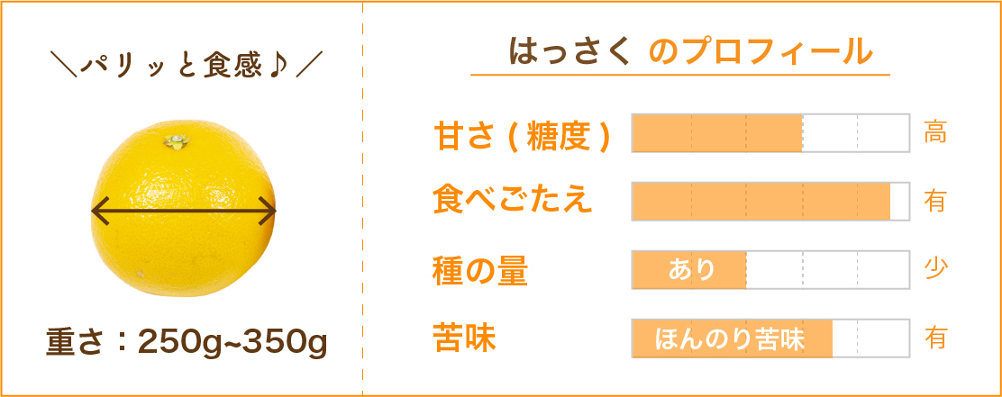 はっさくデータ