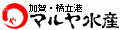 加賀・橋立港 マルヤ水産 ロゴ