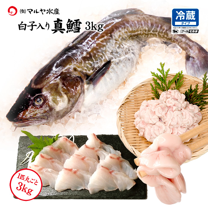 真鱈 寒たら まだら ( オス 白子/真たち入り ) 日本海産 刺身用/生食用 3kg 送料無料 ※お届け日指定不可 :  n-sirakotara-3000g : 加賀・橋立港 マルヤ水産 - 通販 - Yahoo!ショッピング