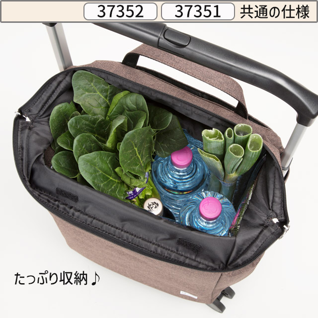 Ace（エース） ソフト キャリーバッグ お買い物キャリー E.カート (小