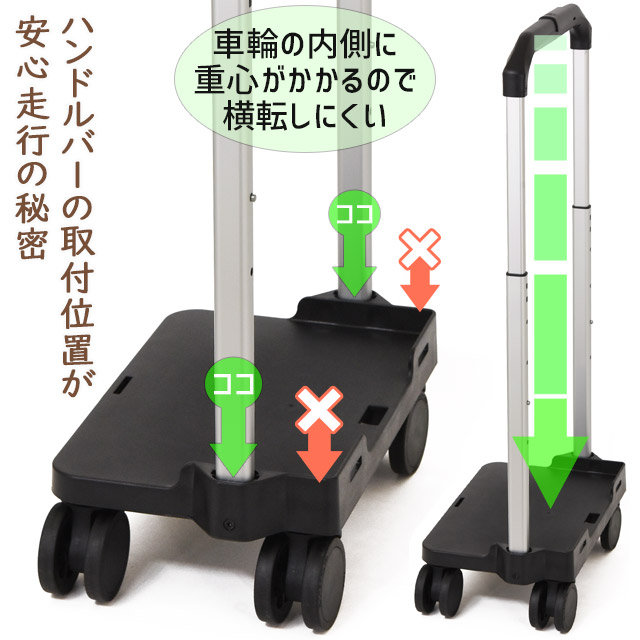 キャナウェイ kannaway サルヴェ　サルベ　2個セット　2024/12入荷 キャナウェイ kannaway サルヴェ サルベ 2個セット 2024/12入荷