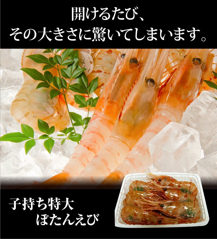 開けるたび、その大きさに驚いてしまいます。子持ち特大ぼたんえび
