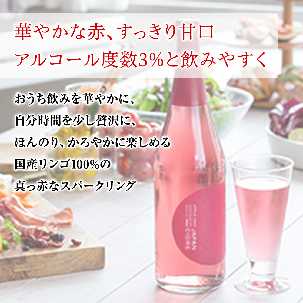 国産りんご100%使用 シードル ニッカ JAPAN CIDRE ジャパンサイダー