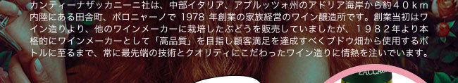 カンティーナ・ザッカニーニ社は、中部イタリア、アブルッツォ州のアドリア海岸から約40km内陸にある田舎町、ポロニャーノで1978年創業の家族経営のワイン醸造所です。創業当初はワイン造りより、他のワインメーカーに栽培したぶどうを販売していましたが、1982年より本格的にワインメーカーとして「高品質」を目指し顧客満足を達成すべくブドウ畑から使用するボトルに至るまで、常に最先端の技術とクオリティにこだわったワイン造りに情熱を注いでいます。