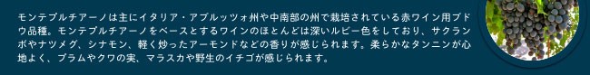モンテプルチアーノは主にイタリア・アブルッツォ州や中南部の州で栽培されている赤ワイン用ブドウ品種。モンテプルチアーノをベースとするワインのほとんどは深いルビー色をしており、サクランボやナツメグ、シナモン、軽く炒ったアーモンドなどの香りが感じられます。柔らかなタンニンが心地よく、プラムやクワの実、マラスカや野生のイチゴが感じられます。