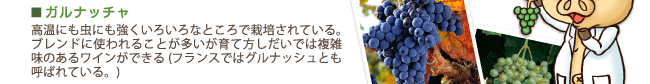 ガルナッチャ…高温にも虫にも強くいろいろなところで栽培されている。ブレンドに使われることが多いが育て方しだいでは複雑味のあるワインができる（フランスではグルナッシュとも呼ばれている）。