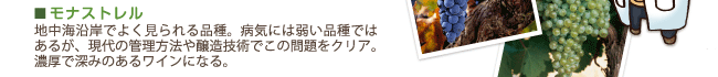 モナストレル…地中海沿岸でよく見られる品種。病気には弱い品種ではあるが、現代の管理方法や醸造技術でこの問題をクリア。濃厚で深みのあるワインになる。