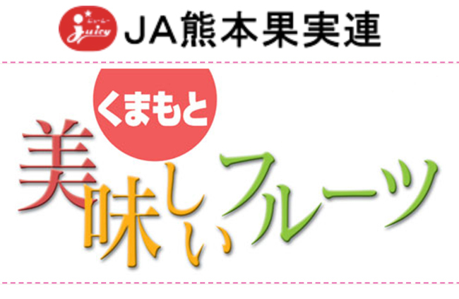 JA熊本果実連 ジューシー オレンジ 100 1L パック×6本 1ケース オレンジジュース :10150164:酒宝庫 MASHIMO  Yahoo!店 - 通販 - Yahoo!ショッピング