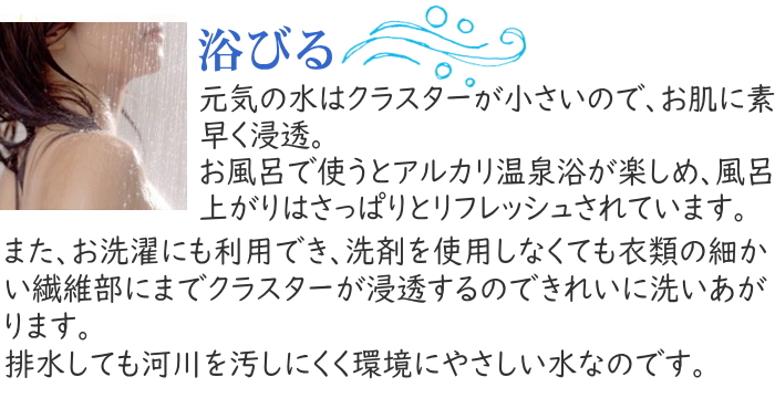 簡単手軽 元気の水 マグスティックネオ 12Lタンクタイプ ミネラル還元