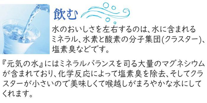 簡単手軽 元気の水 マグスティックネオ 12Lタンクタイプ ミネラル還元